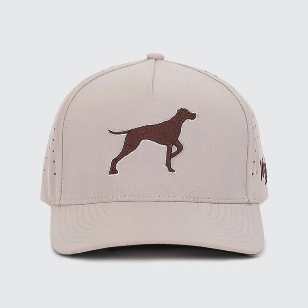 Waggle Bird Dog - Snapback Hat