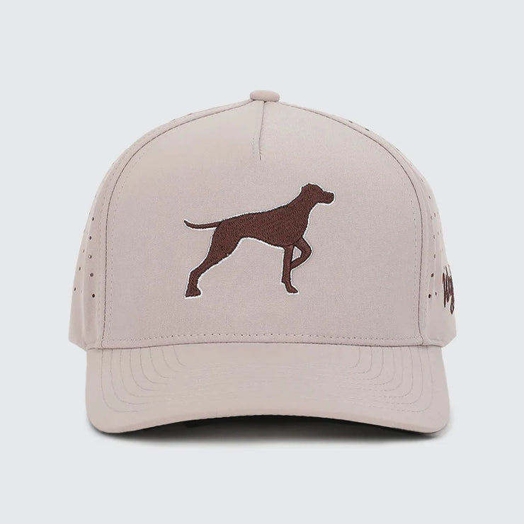 Waggle Bird Dog - Snapback Hat – The Sota Shop