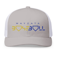 Baseball Cap | Wayzata