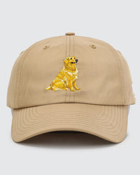 Golden Flight - Waggle Velcro-Back Hat