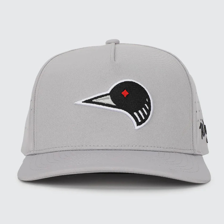 Waggle Loon Lake 2.0 - Snapback Hat – The Sota Shop
