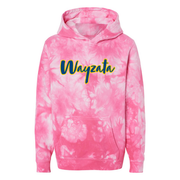 Palm Springs Hoodie | Youth | Wayzata (2 colors)